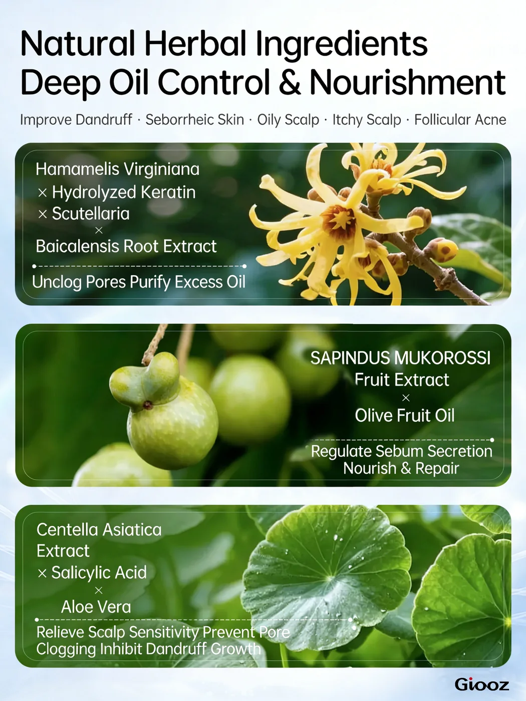 Soapberry Shampoo detail view 3